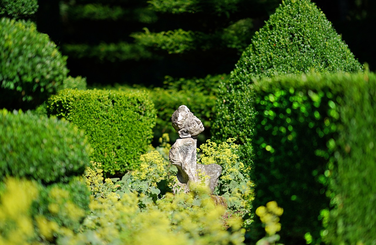 Sculpting with Topiary: A Beginner's Guide